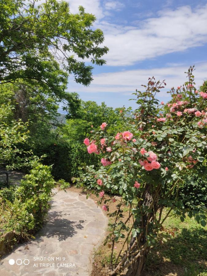 Un Giardino Sul Lago 蒙蒂菲阿斯科尼 外观 照片