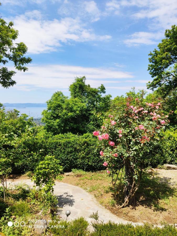 Un Giardino Sul Lago 蒙蒂菲阿斯科尼 外观 照片
